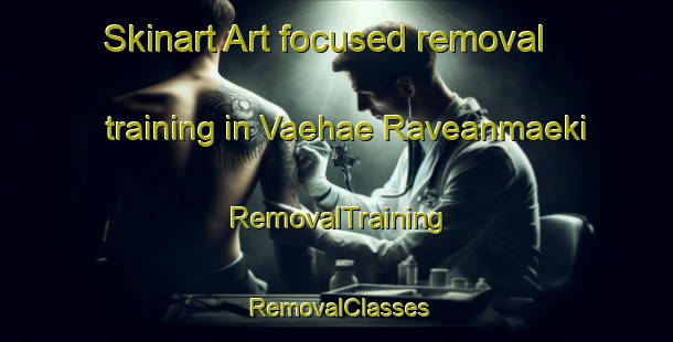 Skinart Art-focused removal training in Vaehae Raveanmaeki | RemovalTraining | RemovalClasses | SkinartTraining-Finland