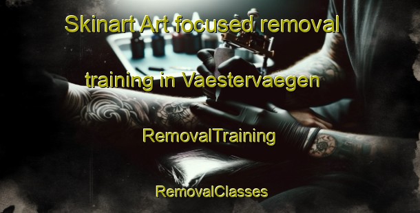Skinart Art-focused removal training in Vaestervaegen | RemovalTraining | RemovalClasses | SkinartTraining-Finland