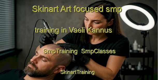 Skinart Art-focused smp training in Vaeli Kannus | SmpTraining | SmpClasses | SkinartTraining-Finland