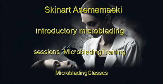 Skinart Asemamaeki introductory microblading sessions | #MicrobladingTraining #MicrobladingClasses #SkinartTraining-Finland