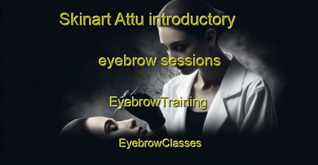 Skinart Attu introductory eyebrow sessions | EyebrowTraining | EyebrowClasses | SkinartTraining-Finland