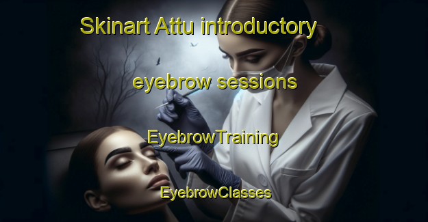 Skinart Attu introductory eyebrow sessions | EyebrowTraining | EyebrowClasses | SkinartTraining-Finland