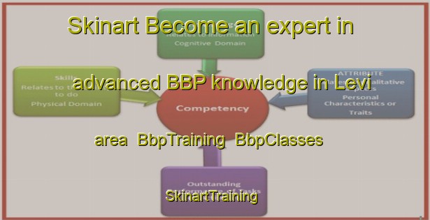 Skinart Become an expert in advanced BBP knowledge in Levi area | BbpTraining | BbpClasses | SkinartTraining-Finland