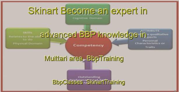 Skinart Become an expert in advanced BBP knowledge in Muittari area | BbpTraining | BbpClasses | SkinartTraining-Finland