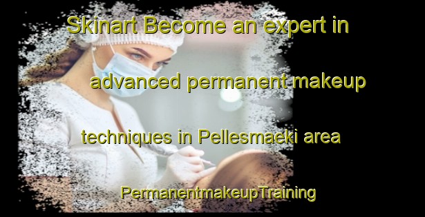 Skinart Become an expert in advanced permanent makeup techniques in Pellesmaeki area | PermanentmakeupTraining | PermanentmakeupClasses | SkinartTraining-Finland