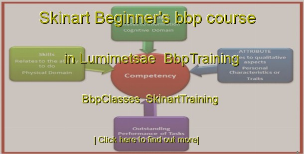 Skinart Beginner's bbp course in Lumimetsae | BbpTraining | BbpClasses | SkinartTraining-Finland