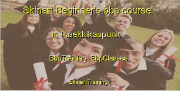 Skinart Beginner's bbp course in Plaekkikaupunki | BbpTraining | BbpClasses | SkinartTraining-Finland