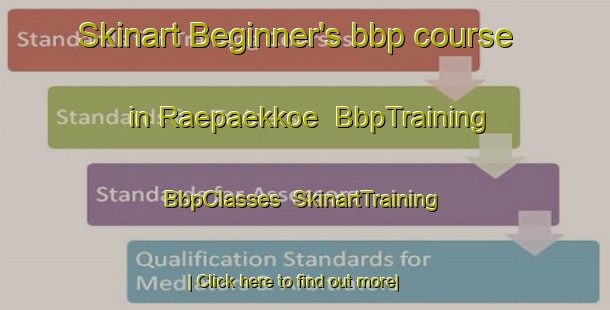 Skinart Beginner's bbp course in Raepaekkoe | BbpTraining | BbpClasses | SkinartTraining-Finland