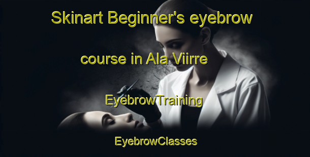 Skinart Beginner's eyebrow course in Ala Viirre | EyebrowTraining | EyebrowClasses | SkinartTraining-Finland