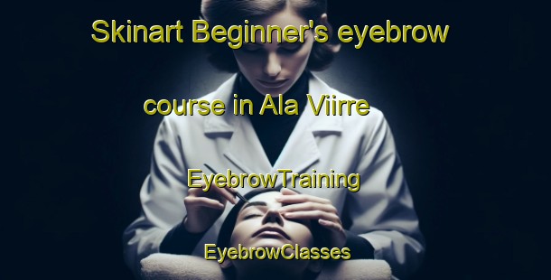 Skinart Beginner's eyebrow course in Ala Viirre | EyebrowTraining | EyebrowClasses | SkinartTraining-Finland