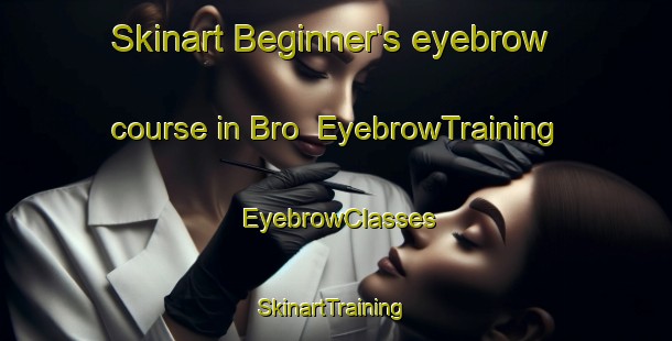 Skinart Beginner's eyebrow course in Bro | EyebrowTraining | EyebrowClasses | SkinartTraining-Finland