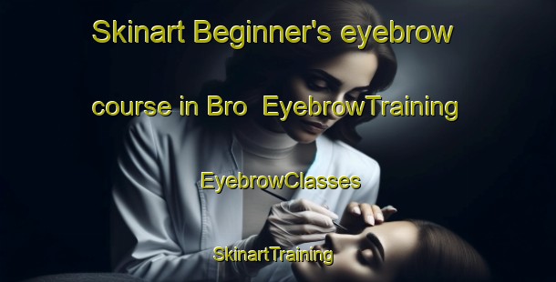Skinart Beginner's eyebrow course in Bro | EyebrowTraining | EyebrowClasses | SkinartTraining-Finland