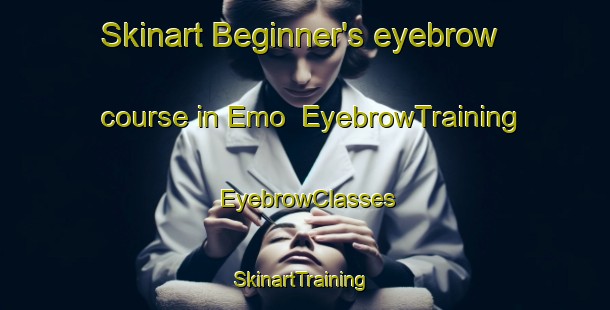 Skinart Beginner's eyebrow course in Emo | EyebrowTraining | EyebrowClasses | SkinartTraining-Finland