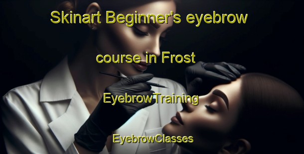 Skinart Beginner's eyebrow course in Frost | EyebrowTraining | EyebrowClasses | SkinartTraining-Finland