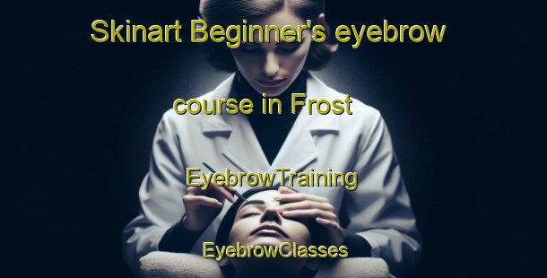 Skinart Beginner's eyebrow course in Frost | EyebrowTraining | EyebrowClasses | SkinartTraining-Finland