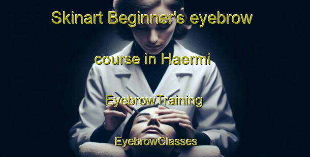 Skinart Beginner's eyebrow course in Haermi | EyebrowTraining | EyebrowClasses | SkinartTraining-Finland