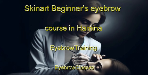 Skinart Beginner's eyebrow course in Hamina | EyebrowTraining | EyebrowClasses | SkinartTraining-Finland