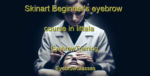 Skinart Beginner's eyebrow course in Iittala | EyebrowTraining | EyebrowClasses | SkinartTraining-Finland