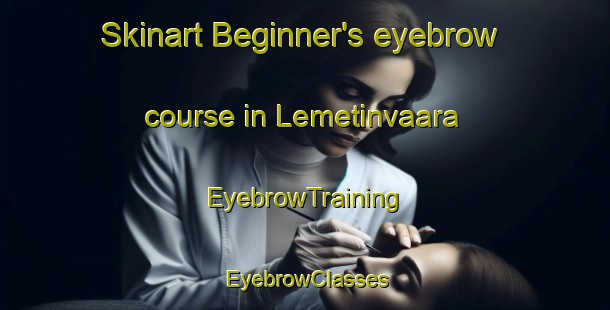 Skinart Beginner's eyebrow course in Lemetinvaara | EyebrowTraining | EyebrowClasses | SkinartTraining-Finland