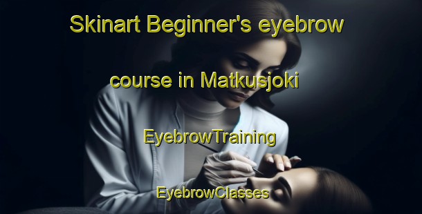 Skinart Beginner's eyebrow course in Matkusjoki | EyebrowTraining | EyebrowClasses | SkinartTraining-Finland