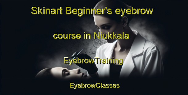 Skinart Beginner's eyebrow course in Niukkala | EyebrowTraining | EyebrowClasses | SkinartTraining-Finland