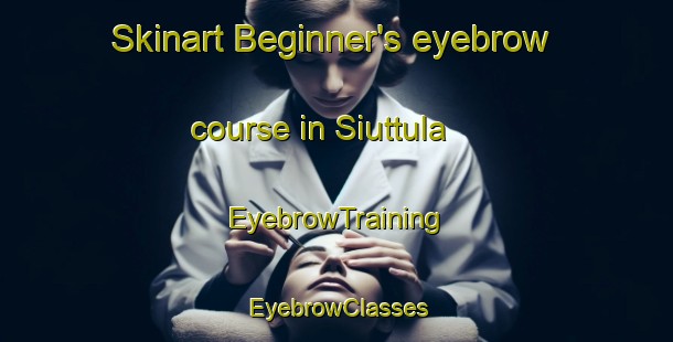 Skinart Beginner's eyebrow course in Siuttula | EyebrowTraining | EyebrowClasses | SkinartTraining-Finland