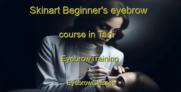 Skinart Beginner's eyebrow course in Tani | EyebrowTraining | EyebrowClasses | SkinartTraining-Finland