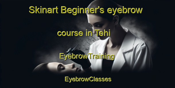 Skinart Beginner's eyebrow course in Tehi | EyebrowTraining | EyebrowClasses | SkinartTraining-Finland