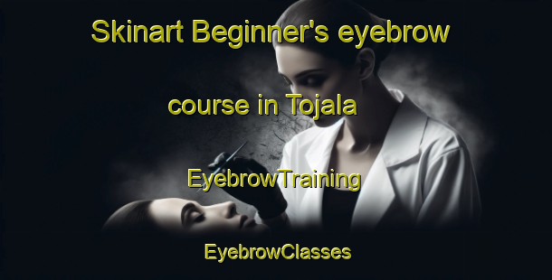 Skinart Beginner's eyebrow course in Tojala | EyebrowTraining | EyebrowClasses | SkinartTraining-Finland