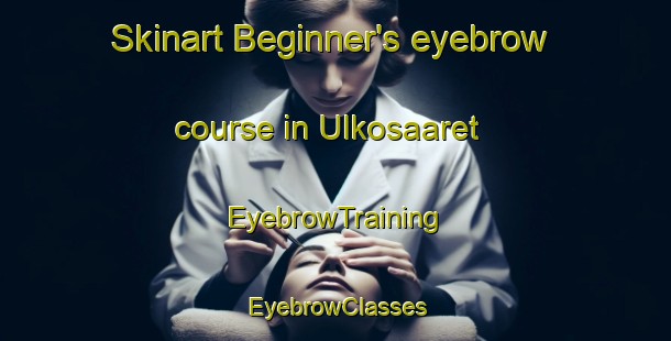 Skinart Beginner's eyebrow course in Ulkosaaret | EyebrowTraining | EyebrowClasses | SkinartTraining-Finland