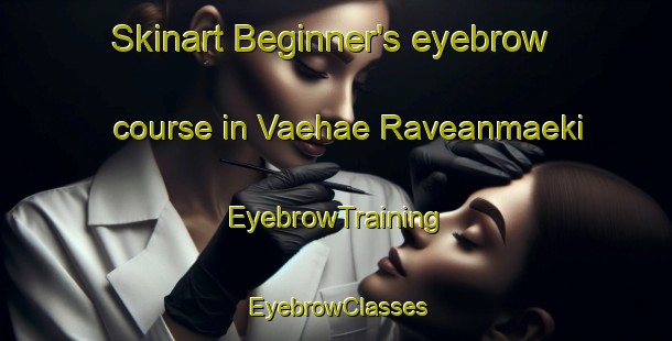 Skinart Beginner's eyebrow course in Vaehae Raveanmaeki | EyebrowTraining | EyebrowClasses | SkinartTraining-Finland