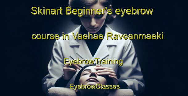 Skinart Beginner's eyebrow course in Vaehae Raveanmaeki | EyebrowTraining | EyebrowClasses | SkinartTraining-Finland