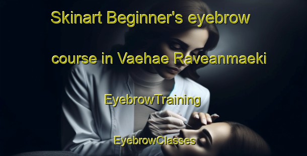 Skinart Beginner's eyebrow course in Vaehae Raveanmaeki | EyebrowTraining | EyebrowClasses | SkinartTraining-Finland
