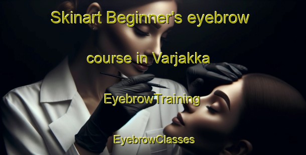 Skinart Beginner's eyebrow course in Varjakka | EyebrowTraining | EyebrowClasses | SkinartTraining-Finland