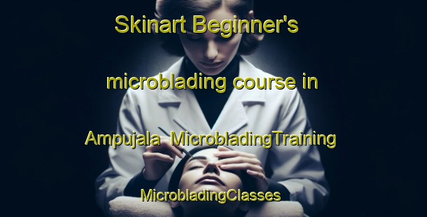 Skinart Beginner's microblading course in Ampujala | MicrobladingTraining | MicrobladingClasses | SkinartTraining-Finland