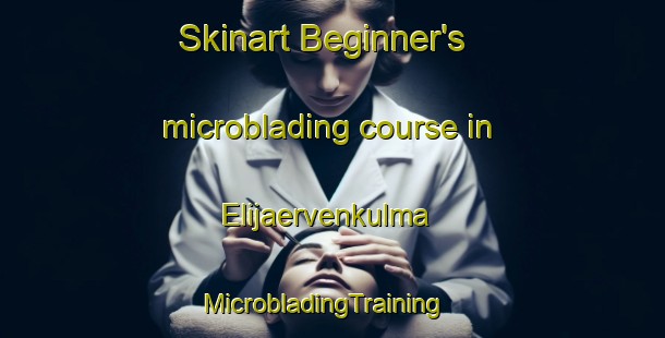 Skinart Beginner's microblading course in Elijaervenkulma | MicrobladingTraining | MicrobladingClasses | SkinartTraining-Finland