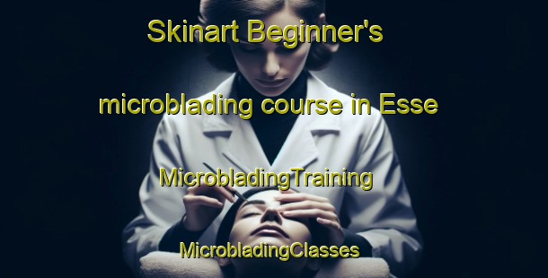 Skinart Beginner's microblading course in Esse | MicrobladingTraining | MicrobladingClasses | SkinartTraining-Finland