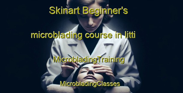 Skinart Beginner's microblading course in Iitti | MicrobladingTraining | MicrobladingClasses | SkinartTraining-Finland