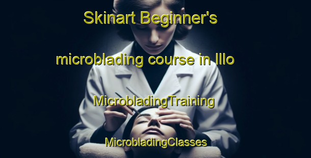 Skinart Beginner's microblading course in Illo | #MicrobladingTraining #MicrobladingClasses #SkinartTraining-Finland