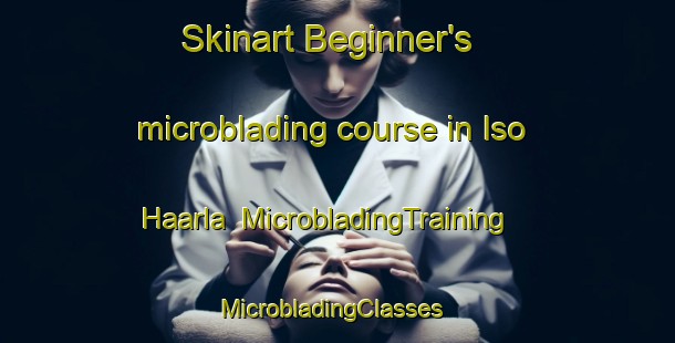 Skinart Beginner's microblading course in Iso Haarla | MicrobladingTraining | MicrobladingClasses | SkinartTraining-Finland