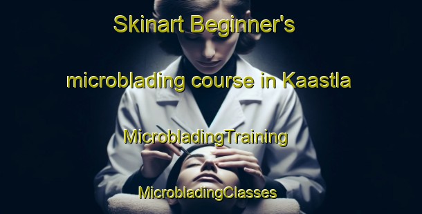 Skinart Beginner's microblading course in Kaastla | MicrobladingTraining | MicrobladingClasses | SkinartTraining-Finland