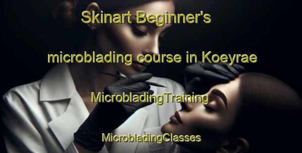 Skinart Beginner's microblading course in Koeyrae | #MicrobladingTraining #MicrobladingClasses #SkinartTraining-Finland