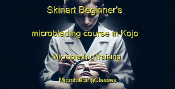 Skinart Beginner's microblading course in Kojo | #MicrobladingTraining #MicrobladingClasses #SkinartTraining-Finland