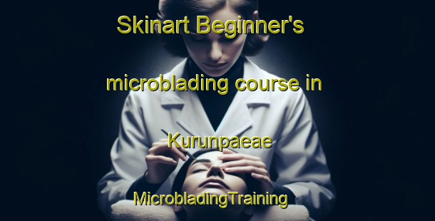 Skinart Beginner's microblading course in Kurunpaeae | MicrobladingTraining | MicrobladingClasses | SkinartTraining-Finland