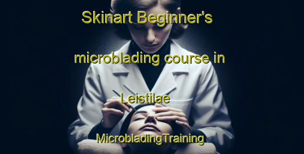 Skinart Beginner's microblading course in Leistilae | #MicrobladingTraining #MicrobladingClasses #SkinartTraining-Finland