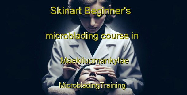 Skinart Beginner's microblading course in Maekiluomankylae | #MicrobladingTraining #MicrobladingClasses #SkinartTraining-Finland