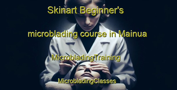 Skinart Beginner's microblading course in Mainua | MicrobladingTraining | MicrobladingClasses | SkinartTraining-Finland