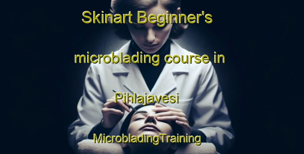 Skinart Beginner's microblading course in Pihlajavesi | MicrobladingTraining | MicrobladingClasses | SkinartTraining-Finland