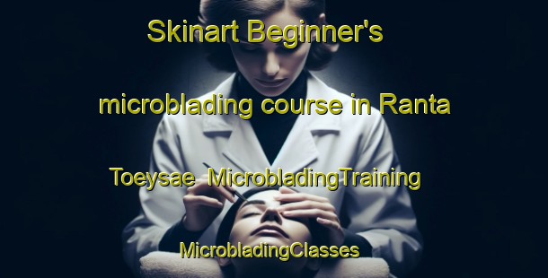 Skinart Beginner's microblading course in Ranta Toeysae | MicrobladingTraining | MicrobladingClasses | SkinartTraining-Finland