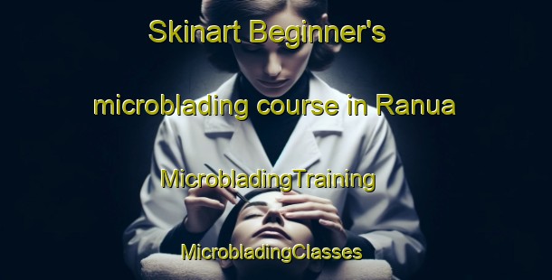 Skinart Beginner's microblading course in Ranua | MicrobladingTraining | MicrobladingClasses | SkinartTraining-Finland
